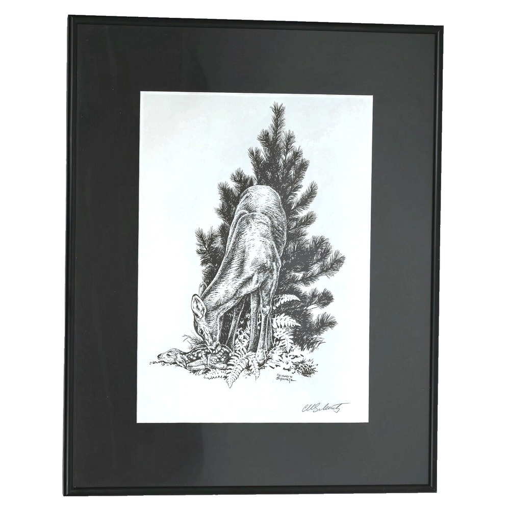 Charles W. Schwartz Signed Framed Pen & Ink Drawing 16"W x 20"H Deer & Fawn